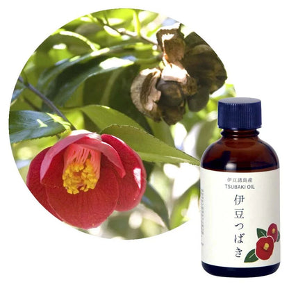 山茶花油 (椿油)，來自日本伊豆大島