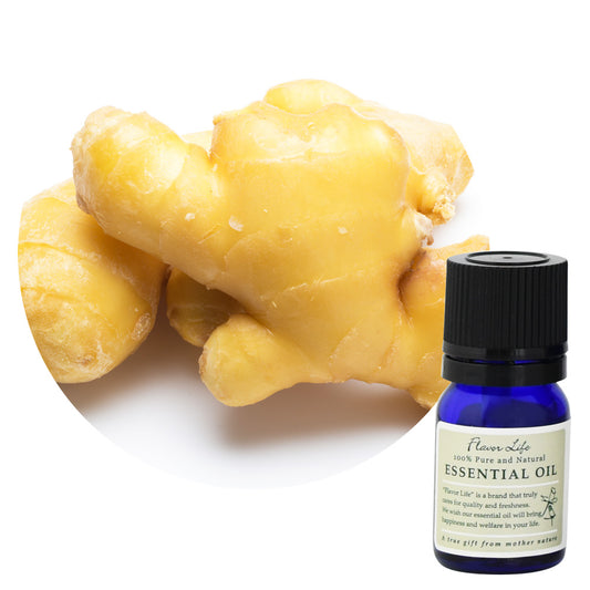 【薑 精油】Zingiber officinale (Ginger)