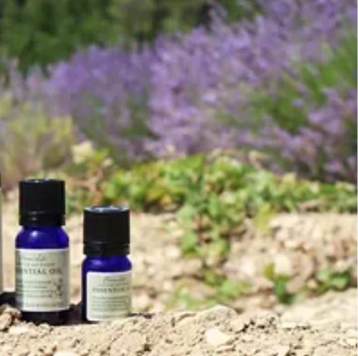 旅遊必備精油組|北海道薄荷、法國真正薰衣草