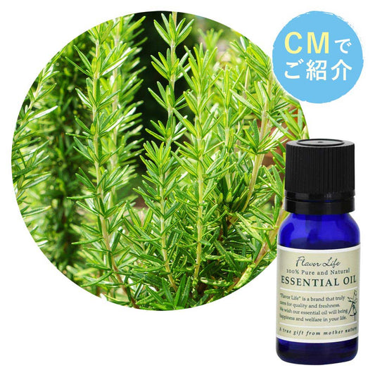 【迷迭香精油】Rosmarinus officinalis (Rosemary)