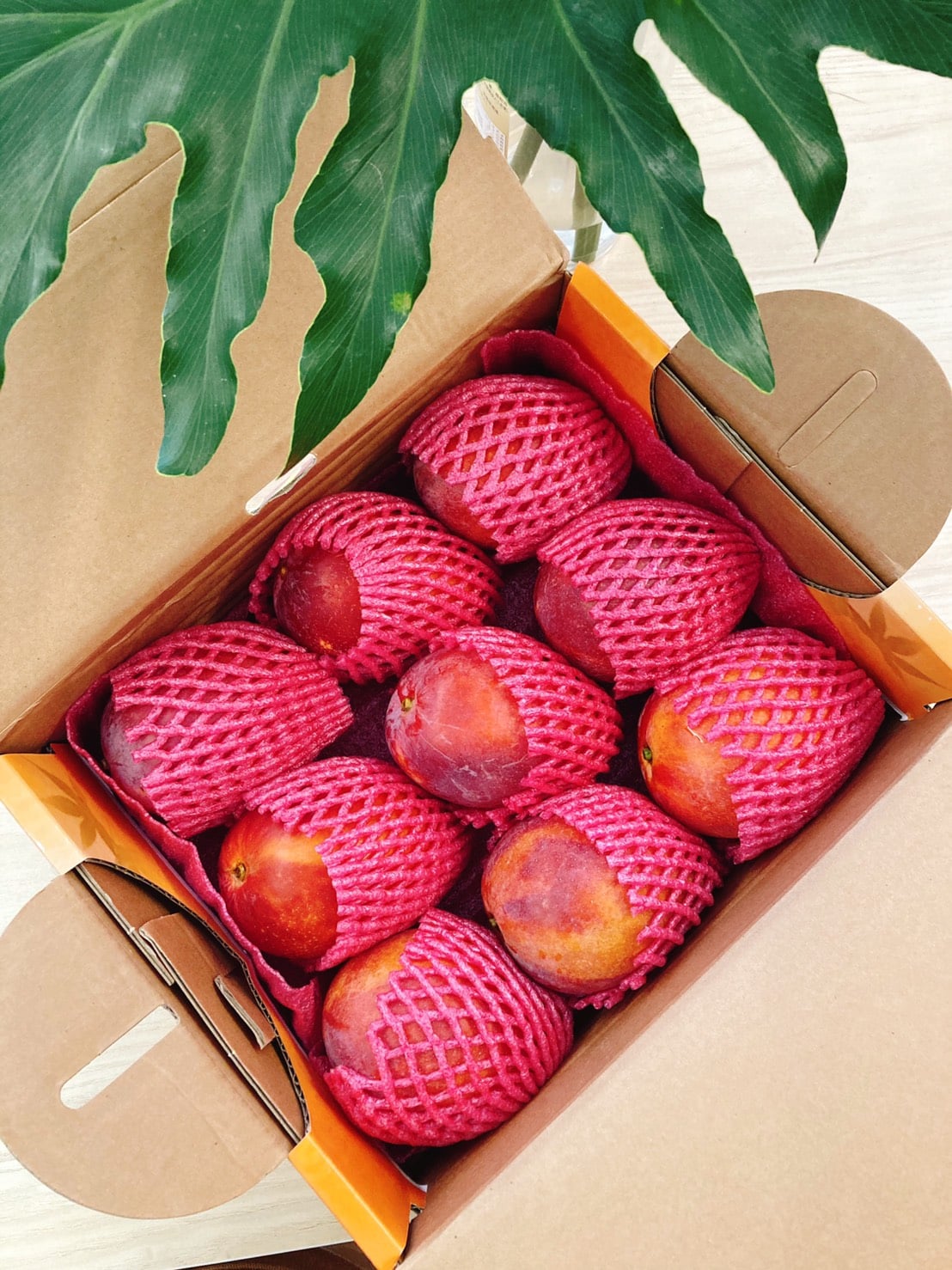 小農布丁芒果 5台斤