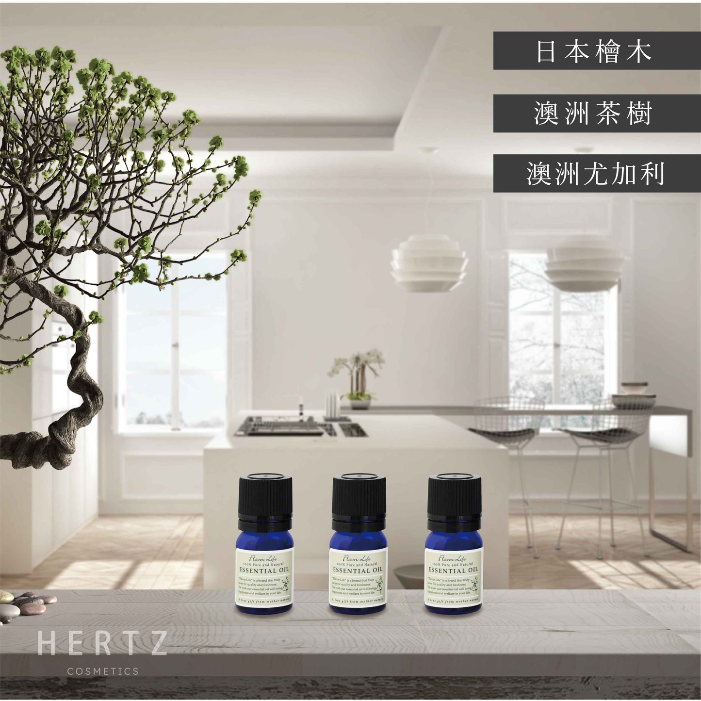 居家淨化|日本檜木、澳洲尤加利、澳洲茶樹