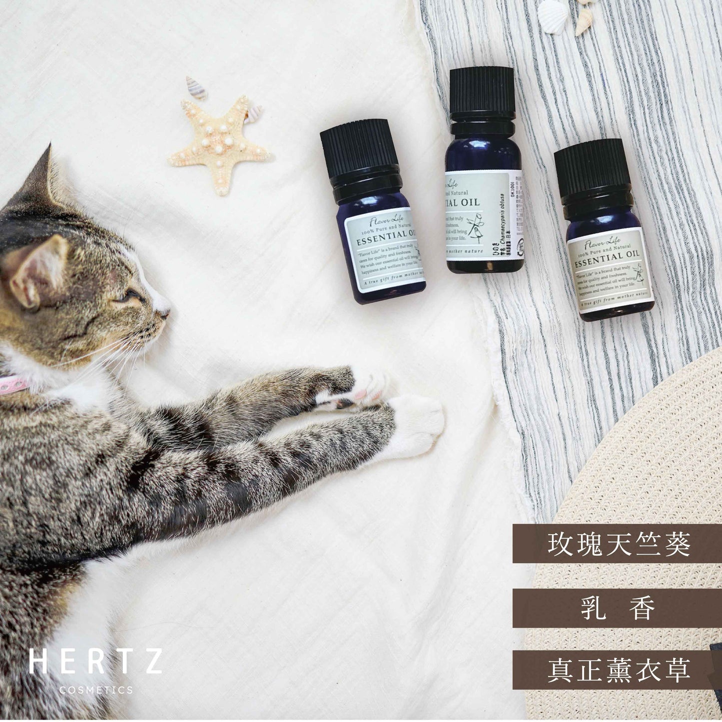 沉睡安眠組|真正薰衣草、乳香、玫瑰天竺葵