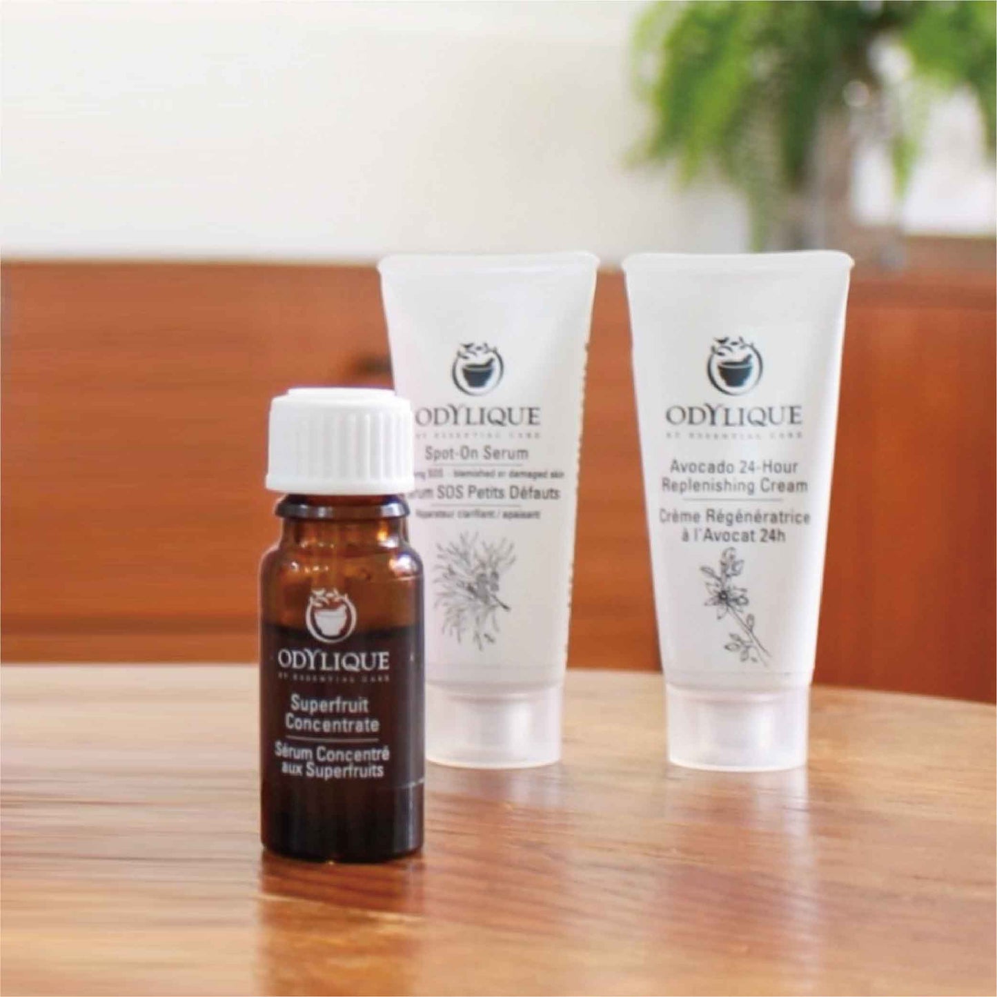 英國有機入門保養組|Odylique歐蒂麗