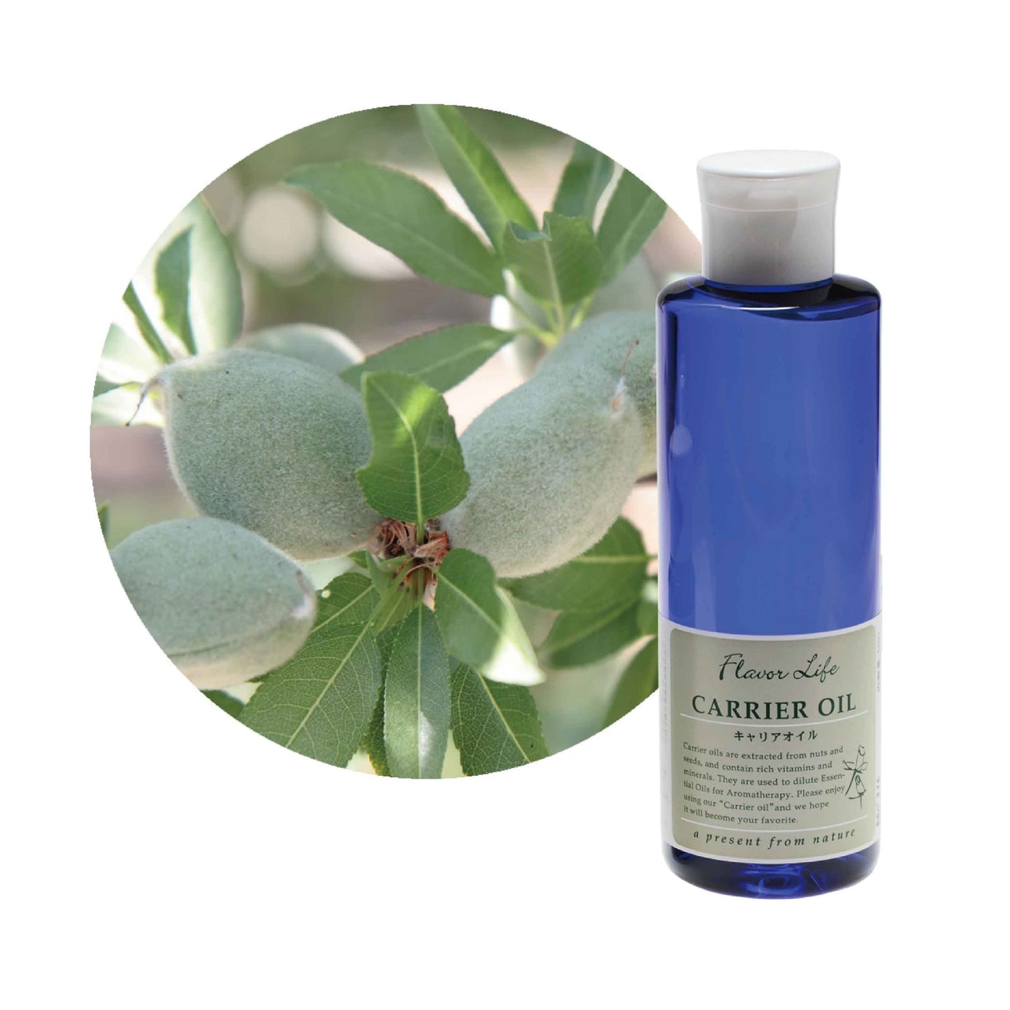 甜杏仁油 Sweet Almond Oil