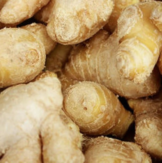 和精油【日本生薑】| 日本一十八日精油 Shyoga(生姜)