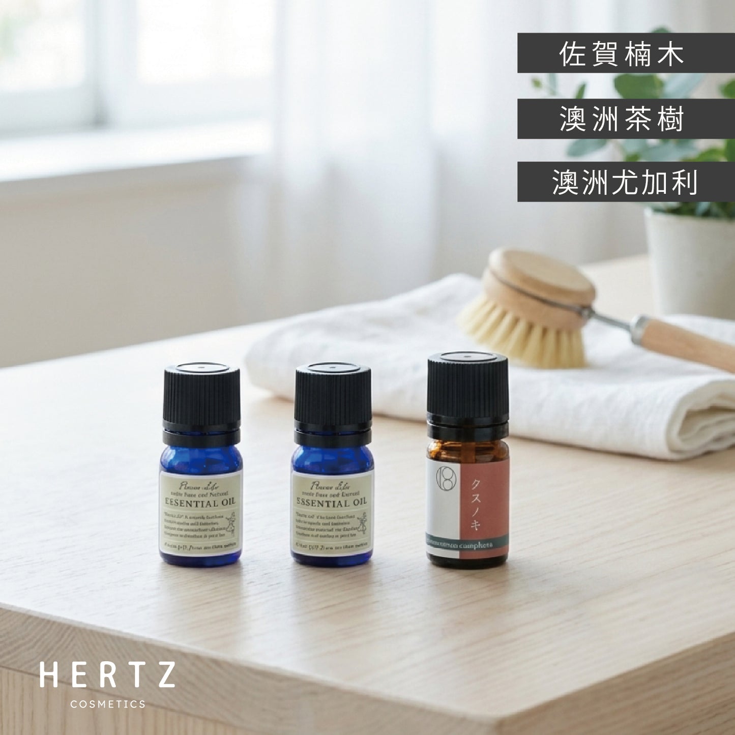 居家淨化｜佐賀楠木、澳洲尤加利、澳洲茶樹