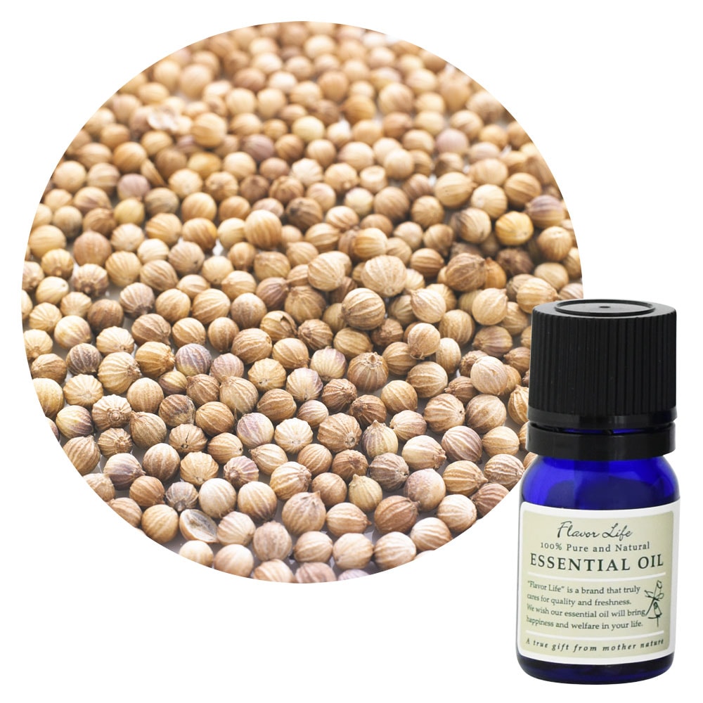 【芫荽精油】Coriandrum sativum (Coriander)