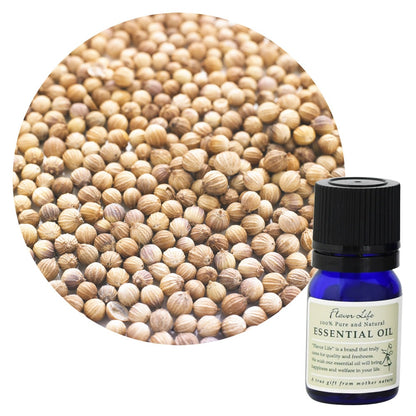 【芫荽精油】Coriandrum sativum (Coriander)